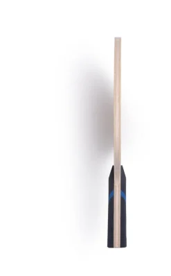 BalsaCarbo X7 22 Battræ Butterfly