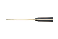 FAN ZHENDONG CNF Battræ